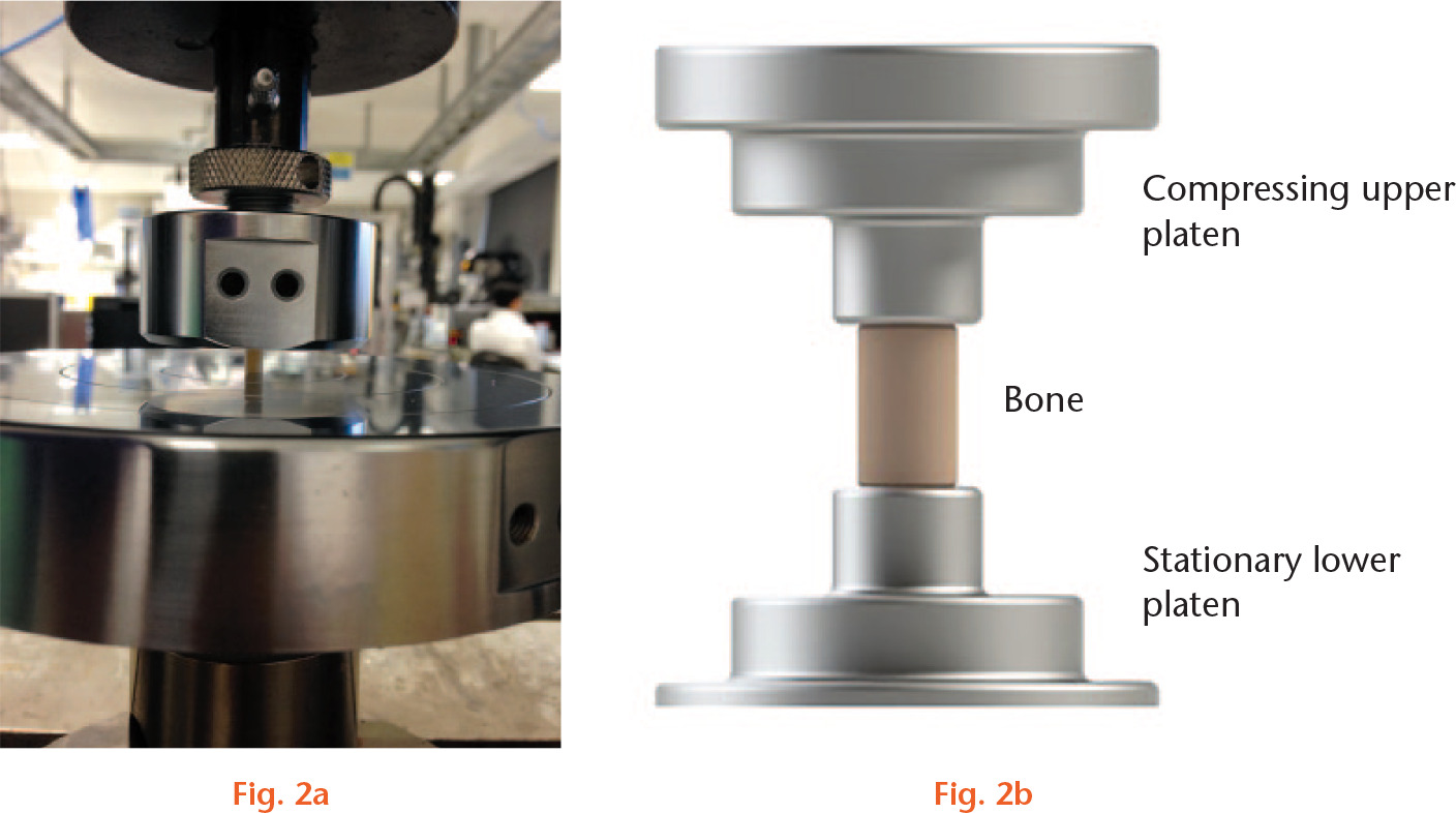  
            Images showing a) standard platens compression testing setup of a bone specimen, and b) a close-up schematic of a bone specimen placed between two polished platens.
          