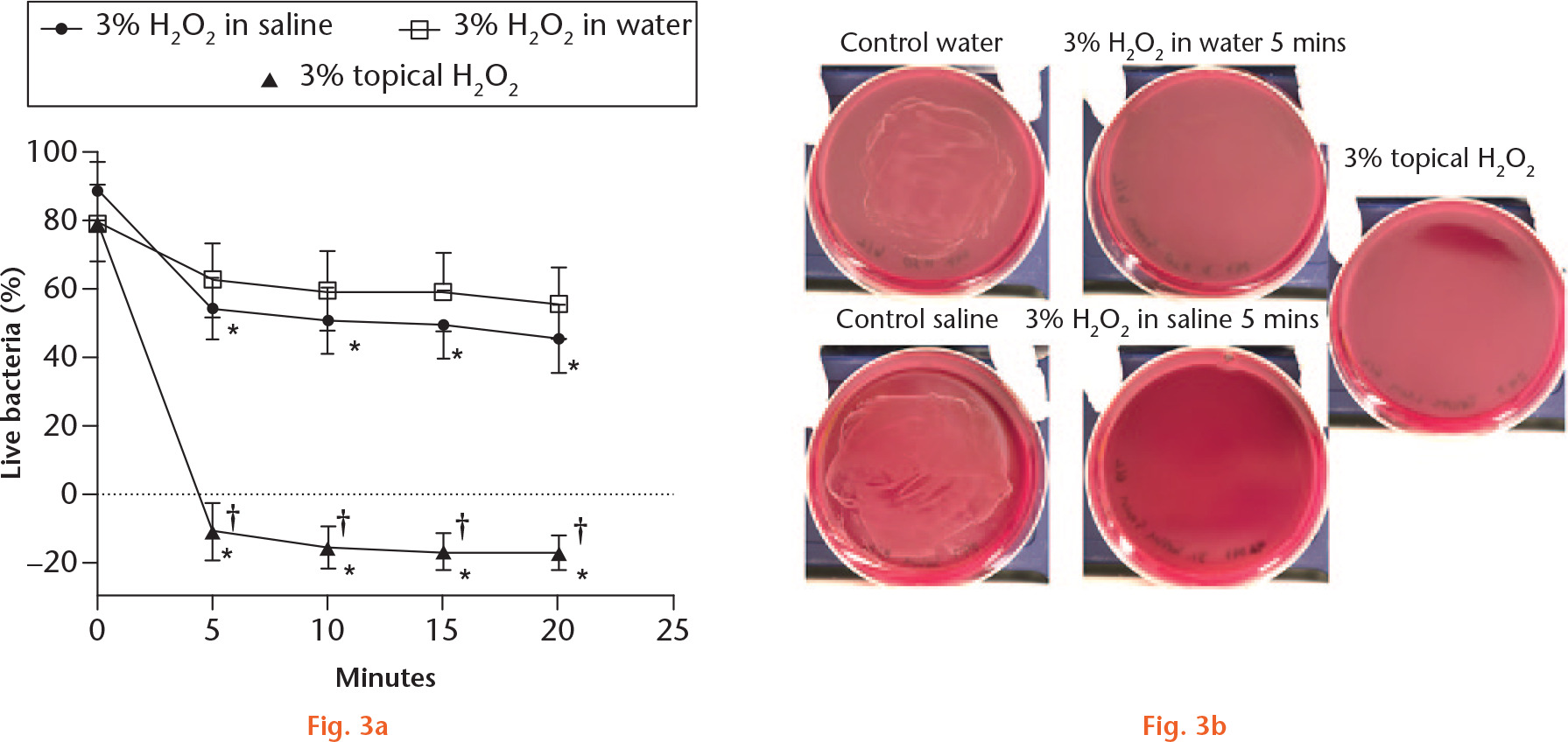  
          Time course of H2O2 effect. a) Bacteria grown in tryptic soy broth (TSB) showed that a 3% topical solution is superior to the other solutions in its bactericidal effect, starting from five minutes of incubation. 3% H2O2 prepared in saline is not significantly different from 3% H2O2 prepared in water in any of the timepoints. *p < 0.0001 compared with control saline or water; †p < 0.0001 compared with 3% H2O2 prepared in saline or in water. b) Bacteria grown in tryptic soy broth–defibrinated sheep blood (TSB-DSB) agar and treated with each solution of H2O2 for five minutes was grown as lawn to further assess for growth inhibition. All treatment solutions inhibited bacterial growth except the controls with water or saline.
        