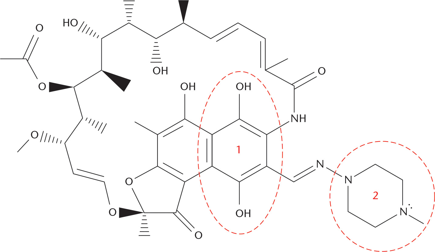 Fig. 1 
          The chemical structure of rifampin. The hydroquinone (1) and piperazine (2) moieties have been labelled.
        