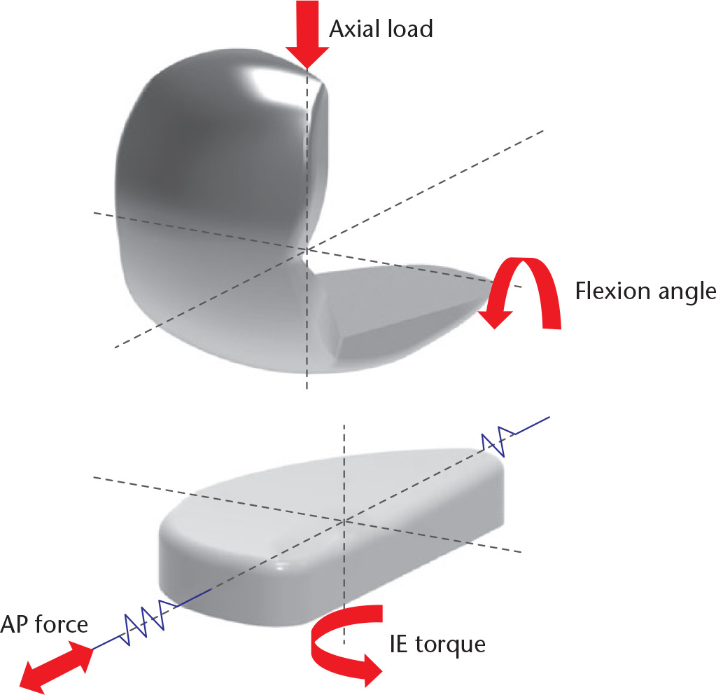 Fig. 3 
            Wear prediction finite element (FE) model of unicompartmental knee arthroplasty (UKA) and loading condition used in this study. AP, anteroposterior; IE, internal-external.
          