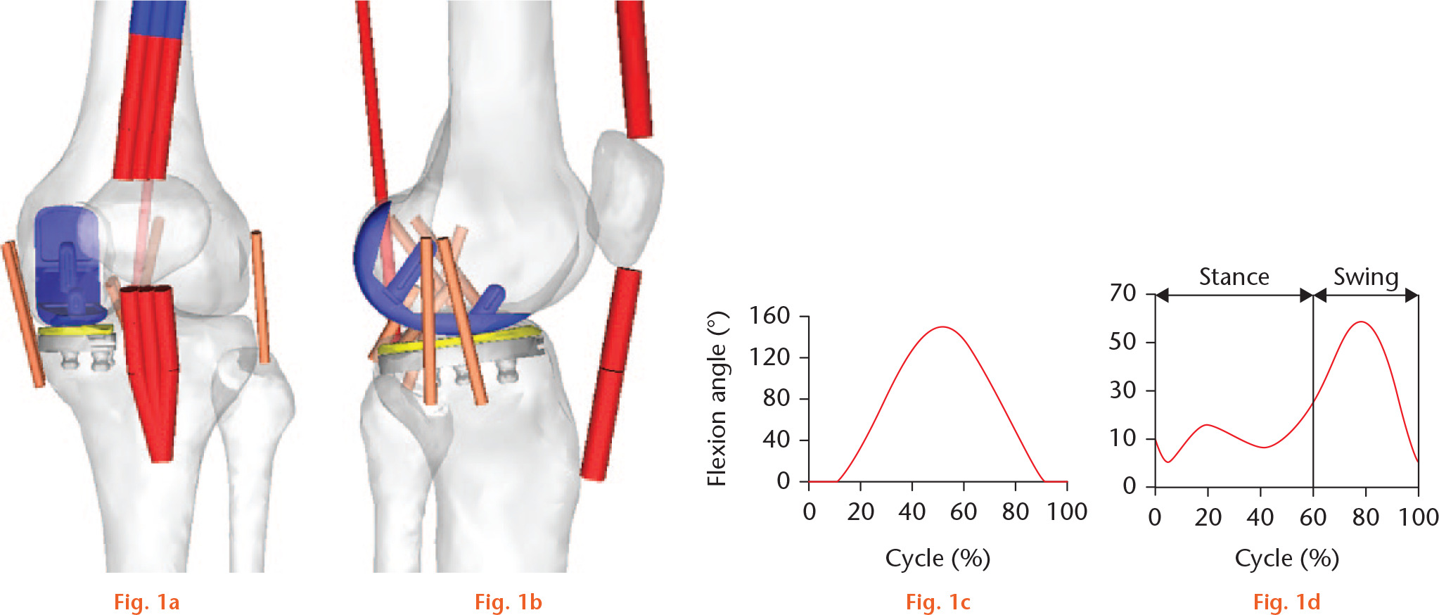 Fig. 1 
          Computer simulation model for a) anterior and b) lateral views of the properties. Simulation protocols and range of movement for c) the deep knee bend and d) gait cycles.
        
