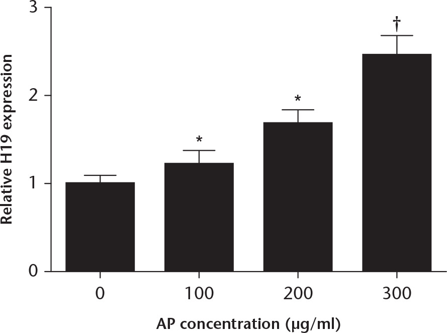 Fig. 4 
            Effect of angelica polysaccharide (AP) on the relative expression of H19. Different concentrations of AP (100 μg/ml to 300 μg/ml) were used to stimulate mesenchymal stem cells, and untreated cells served as the control group. The relative expression level of H19 was determined by reverse transcription-quantitative polymerase chain reaction (RT-qPCR). *p < 0.05; †p < 0.01.
          