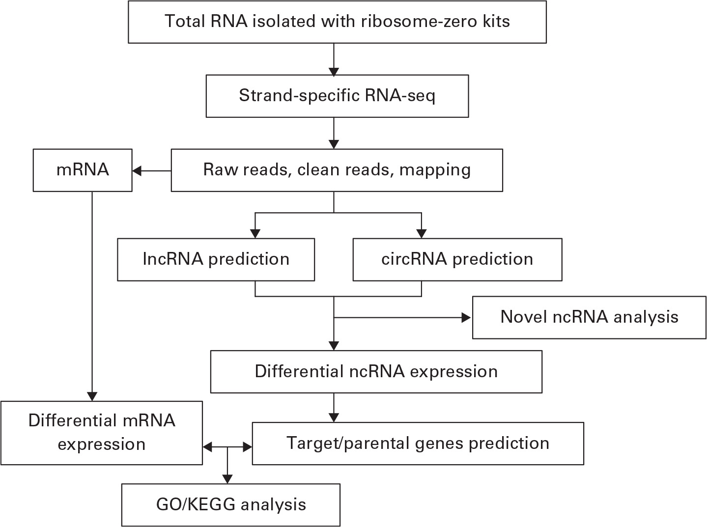 Fig. 1 
            Flowchart for analysis of whole-transcript sequencing analysis. RNA-seq, RNA-sequencing; mRNA, messenger RNA; lncRNA, long noncoding RNA; circRNA, circular RNA; ncRNA, noncoding RNA; GO, gene ontology; KEGG, Kyoto Encyclopedia of Genes and Genomes.
          