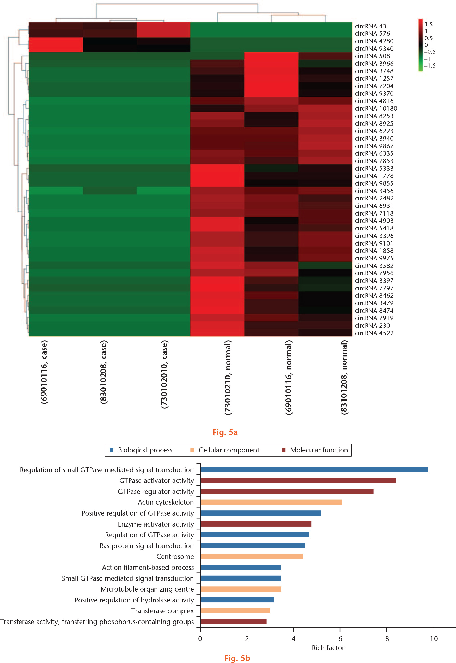 Fig. 5 
            Differentially expressed circRNAs (DECs) in whole-transcriptome sequencing of osteoarthritic (OA) and normal tissue of knee articular cartilage and gene ontology (GO) analysis of their parental genes. a) DECs in whole-transcriptome sequencing of OA and normal tissue of knee articular cartilage. Hierarchical clustering shows a difference in circRNA expression profile between the two groups and homogeneity within groups. b) GO analysis for parental genes of DECs. The top 15 highest enriched GO terms in three domains were demonstrated.
          