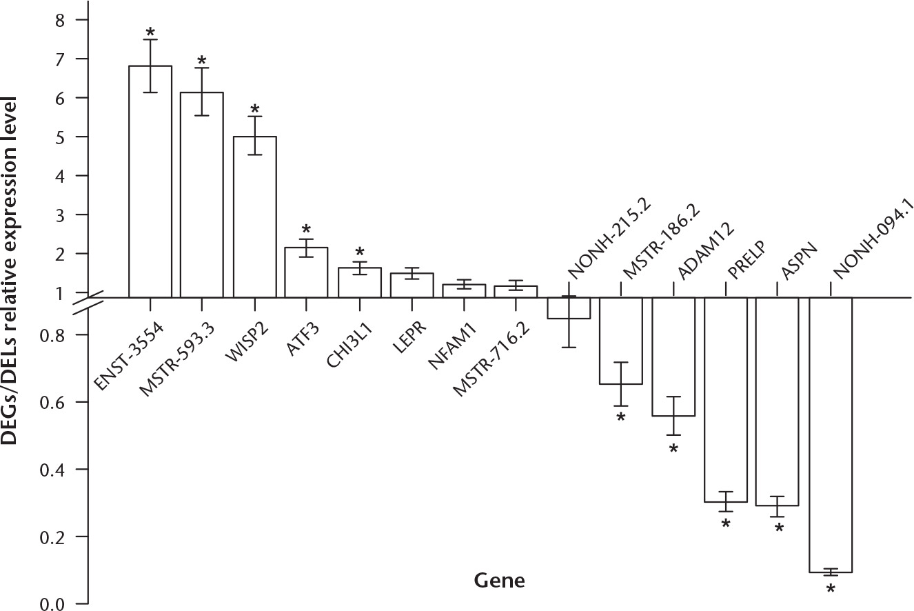 Fig. 7 
            Validation of candidate genes and long noncoding RNAs (lncRNAs) in paired osteoarthritic (OA) articular cartilage by real-time reverse transcriptase polymerase chain reaction (RT-PCR). *Significantly expressed genes and differentially expressed lncRNAs (DELs). DEGs, differentially expressed genes.
          