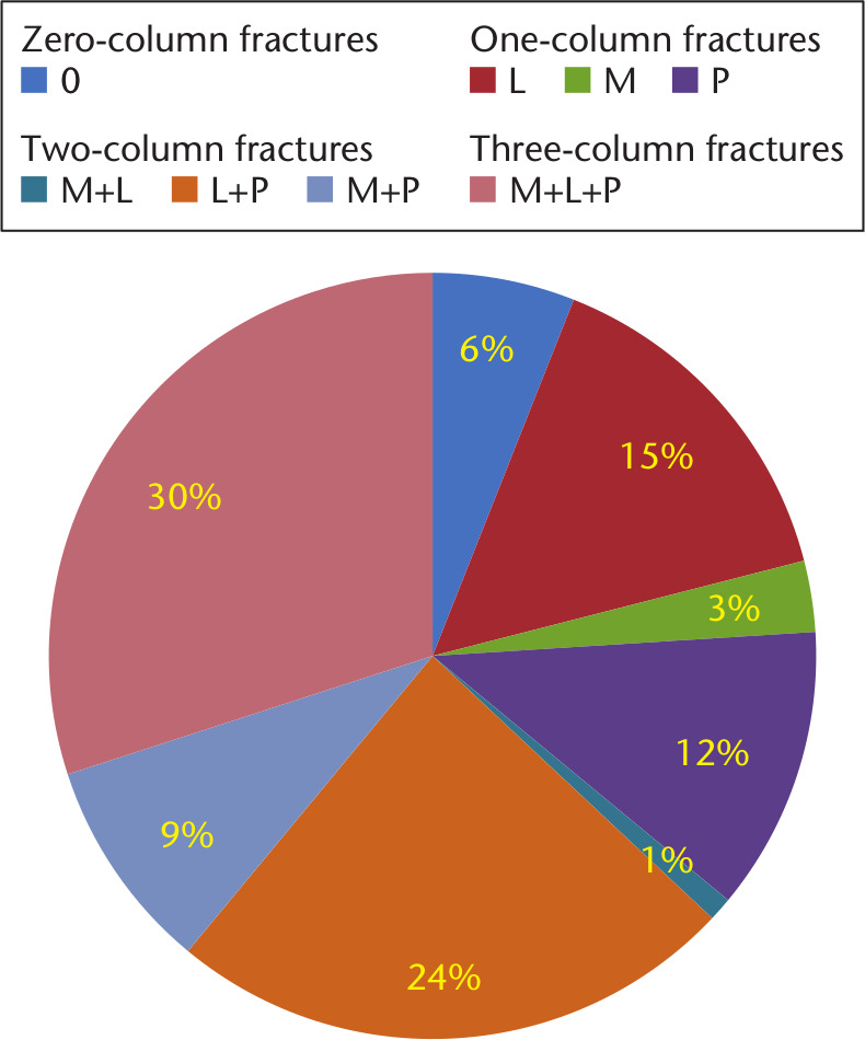 Fig. 3 
          Population distribution of three-column classification (TCC) in 90 patients. 0 in TCC indicates zero-column fractures (fr); L, lateral one-column fr; M, medial one-column fr; P, posterior one-column fr; M+L, medial and lateral two-column fr; L+P, lateral and posterior two-column fr; M+P, medial and posterior two-column fr; M+L+P, three-column fr, medial, lateral and posterior all involved.
        