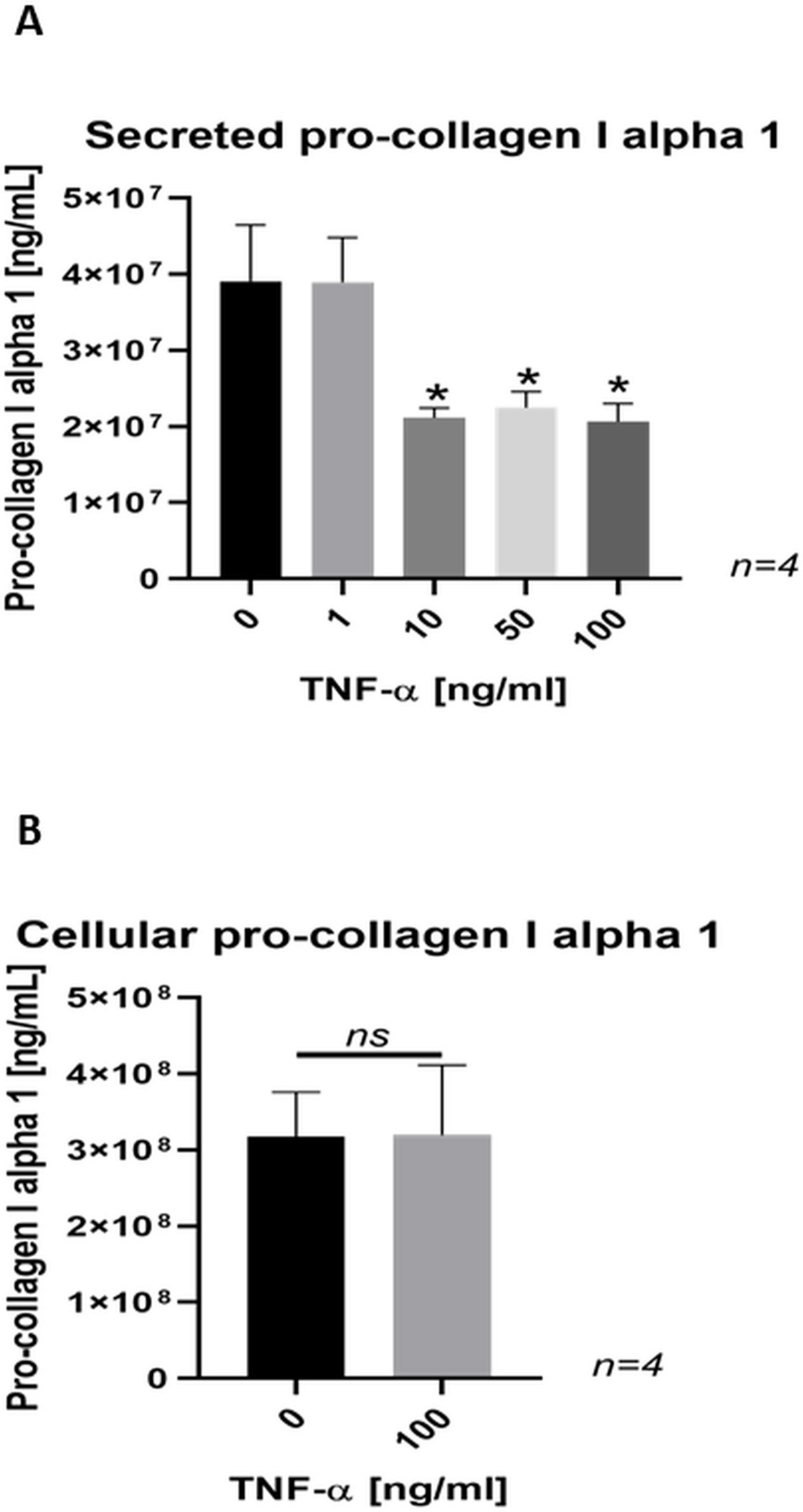 Fig. 7 
            a) Bar chart showing a dose-dependent decrease in the secretion of pro-collagen I α 1 in SaOs-2 cells treated with tumour necrosis factor-alpha (TNF-α) for 24 hours. Data are presented as the mean ± SD. *p < 0.001 versus control group, evaluated by one-way analysis of variance followed by post-hoc analysis using Dunnett’s multiple comparisons test. b) Bar chart showing no difference in cellular pro-collagen I alpha 1 content in SaOs-2 cells treated with TNF-α for 24 hours. Data are presented as the mean ± SD. p > 0.05 versus control group. ns, not significant.
          