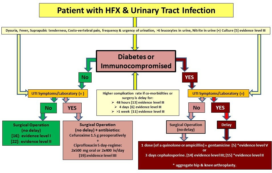 Fig. 3 
            Algorithm for patients with urinary tract infection (UTI). It should be noted that this is a suggested pathway, and patients should be managed on a case-by-case basis. HFX, hip fracture; iv, intravenous.
          