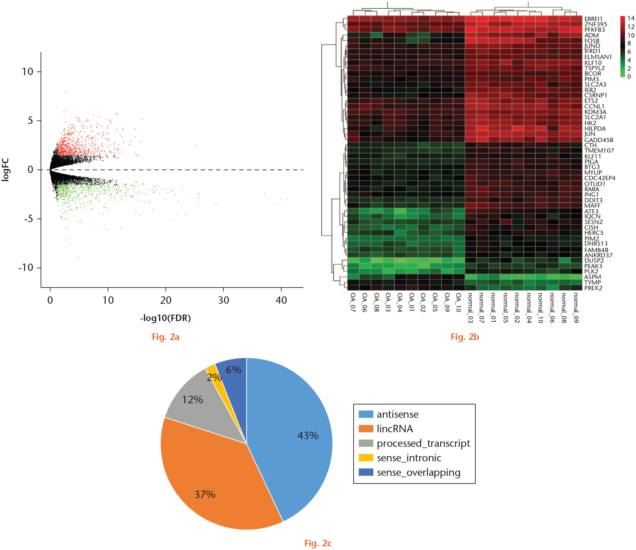 Fig. 2 
            Differentially expressed long non-coding RNA (DElncRNA) in osteoarthritis (OA) tissues and normal tissues of knee articular cartilage. a) Volcano map of DElncRNA; b) heatmap of DElncRNA; c) long non-coding RNA (lncRNA) classification. lincRNA, long intergenic non-coding RNA.
          
