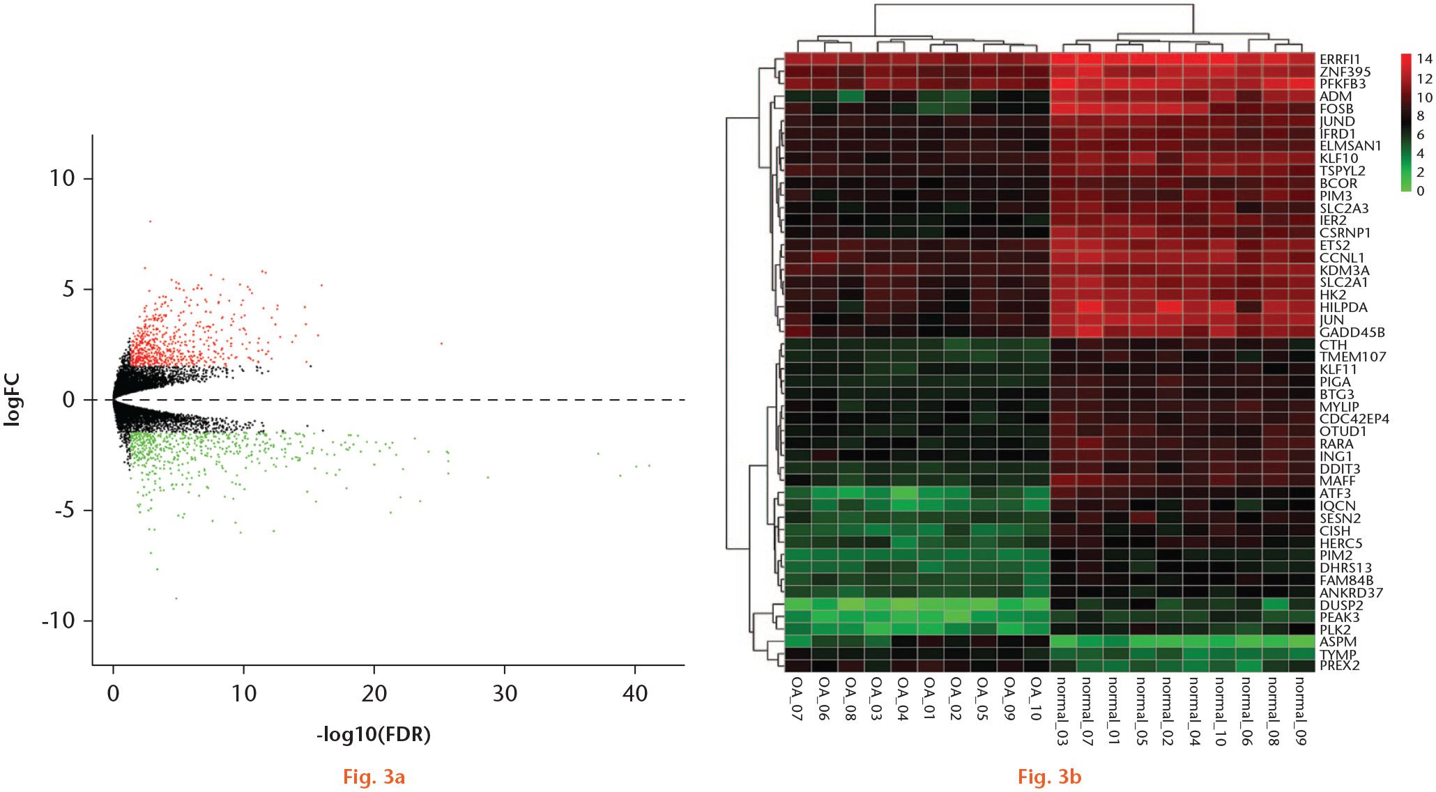Fig. 3 
            Differentially expressed messenger RNAs (DEmRNAs) in osteoarthritis (OA) tissues and normal tissues of knee articular cartilage. a) The volcano map of DEmRNAs; b) heatmap of DEmRNAs.
          