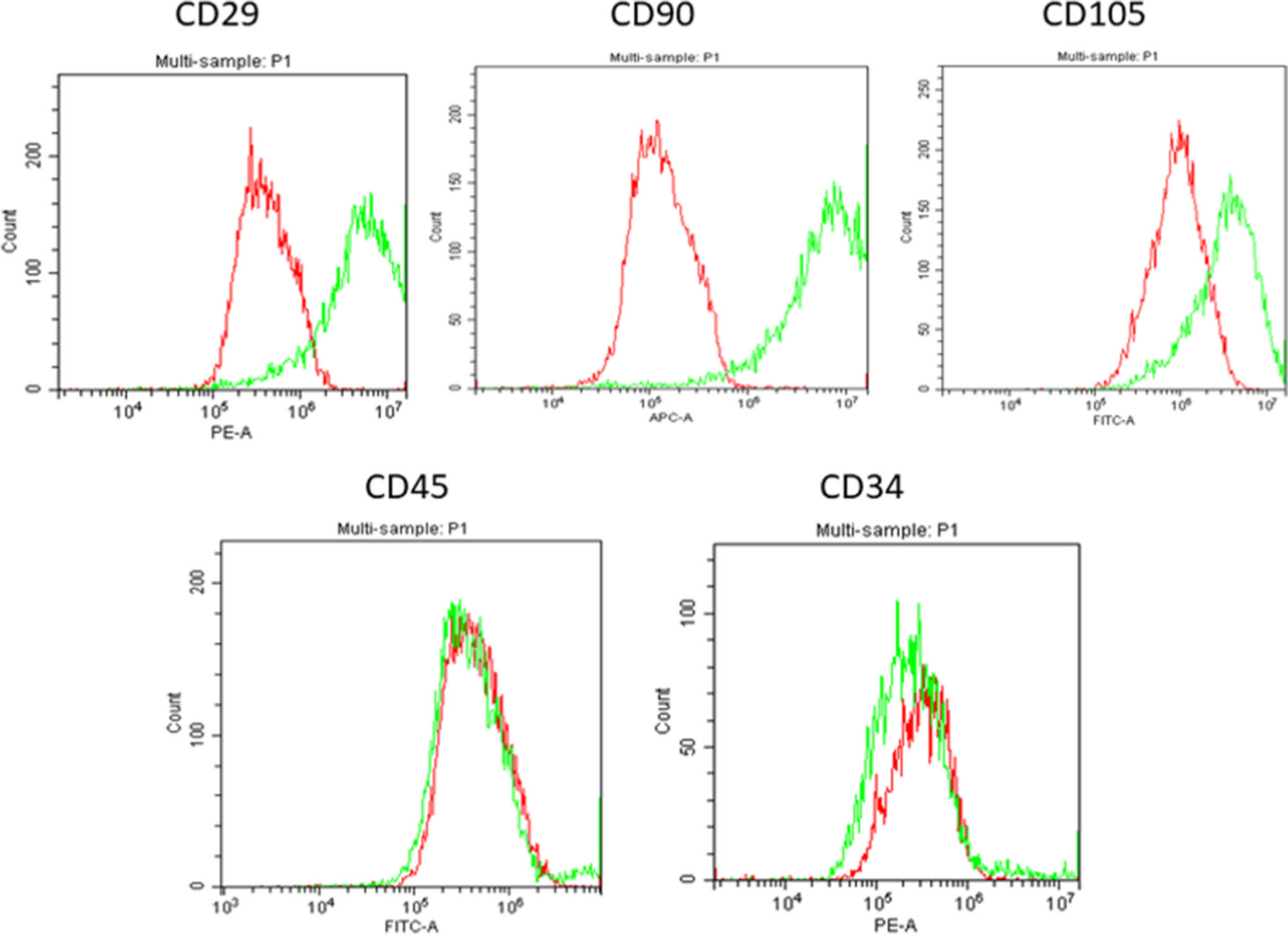 Fig. 4 
            Flow cytometry results of cells obtained from the bone marrow aspirate isolated from the buffy layer. The cells had positive stem cell markers for CD29, CD90, Stro1, CD105, and negative expression of CD34 and CD45. The red histograms are isotype controls and green histograms show the expression of the CD markers (n = 9). The stains used were Phycoerythrin (PE), Allophycocyanin (APC), and Fluorescein isothiocyanate (FITC).
          