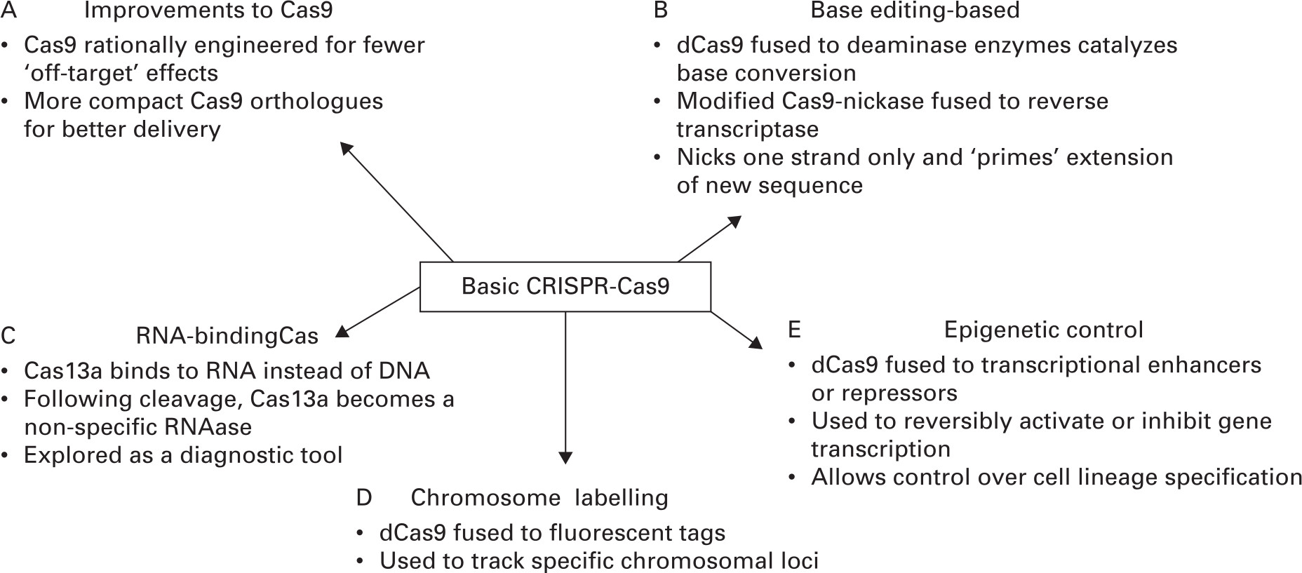 Fig. 2 
          Recent advances in clustered regularly interspaced short palindromic repeats (CRISPR)-Cas9. The CRISPR-Cas9 system and its ability to target specific genomic loci has been adapted for a range of new applications. These include improvements to the Cas9 nuclease itself (A), active or inactive Cas9 fused to different protein modules for enhanced functionality (B, D, and E), and Cas isoforms that have high affinity for RNA instead of DNA (C). These advances have been applied to all the musculoskeletal tissues including cartilage, bone, and muscle.
        