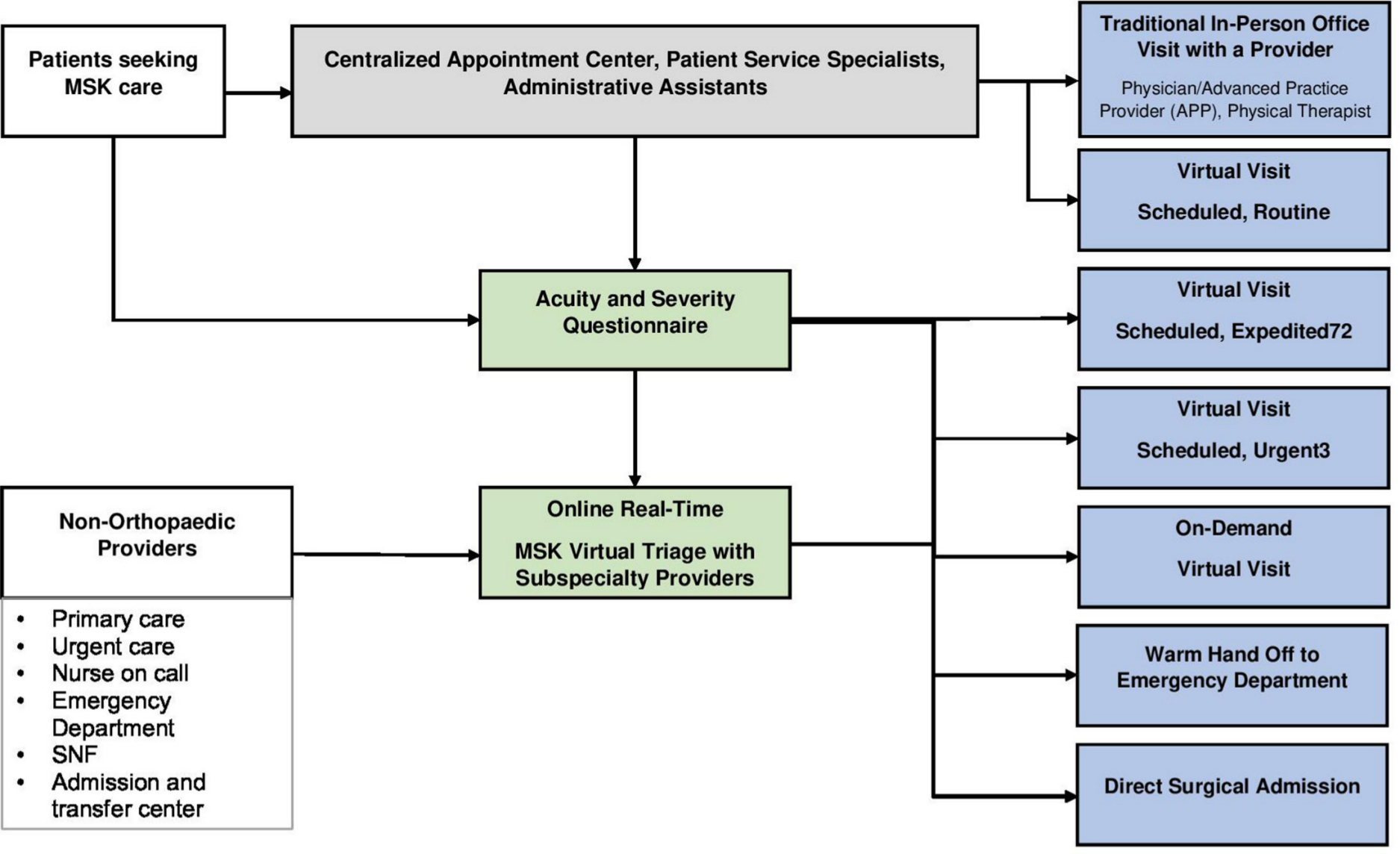 Fig. 2 
          Integration of the virtual visits into patient access pathways.
        