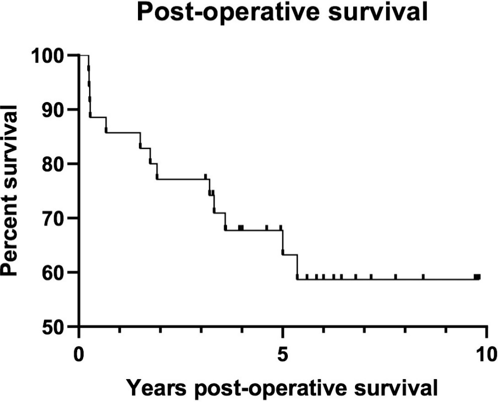 Fig. 7 
            Postoperative survival following distal femur resection was assessed using the Kaplan-Meier method. Patients lost to follow-up or still alive at the end of the study period were censored.
          
