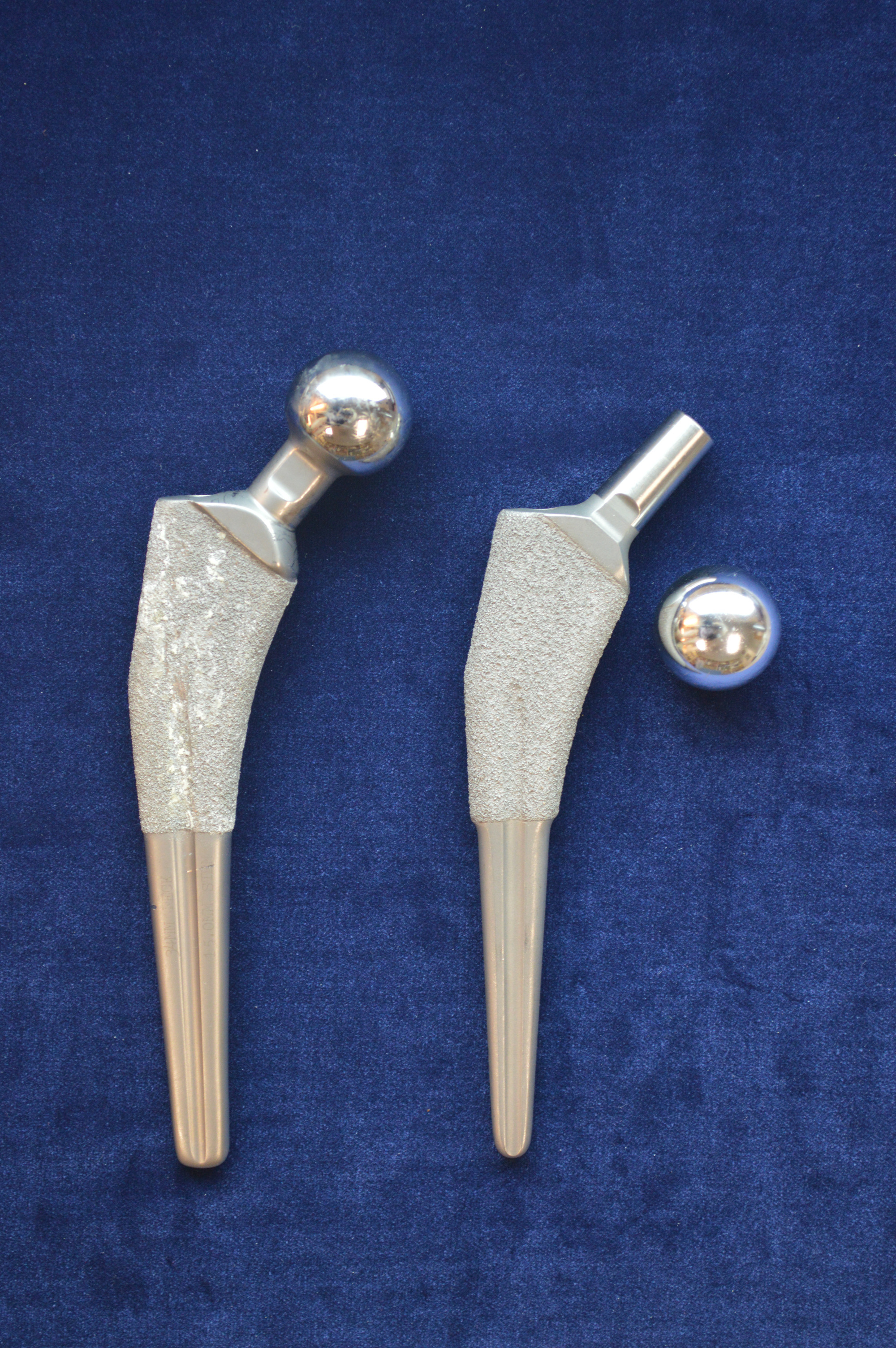 Fig. 1 
          Photograph of the first- (left) and second- (right) generation Taperloc femoral components. The second-generation is modular and has a reduced profile distal to the porous coating.
        