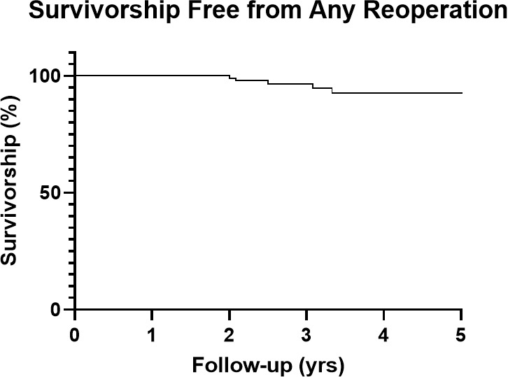 Fig. 3 
            Kaplan-Meier survivorship curve depicting survivorship free from any reoperation.
          