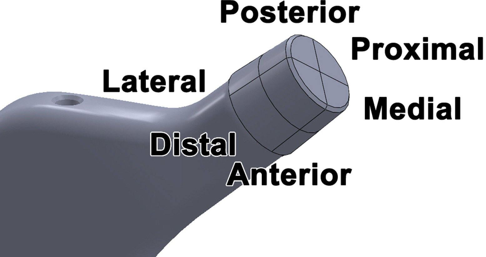 Fig. 5 
          Definition of taper regions by dividing into quarters corresponding to medial, lateral, anterior, and posterior aspects, and dividing into proximal and distal halves. Head taper regions match stem taper regions.
        