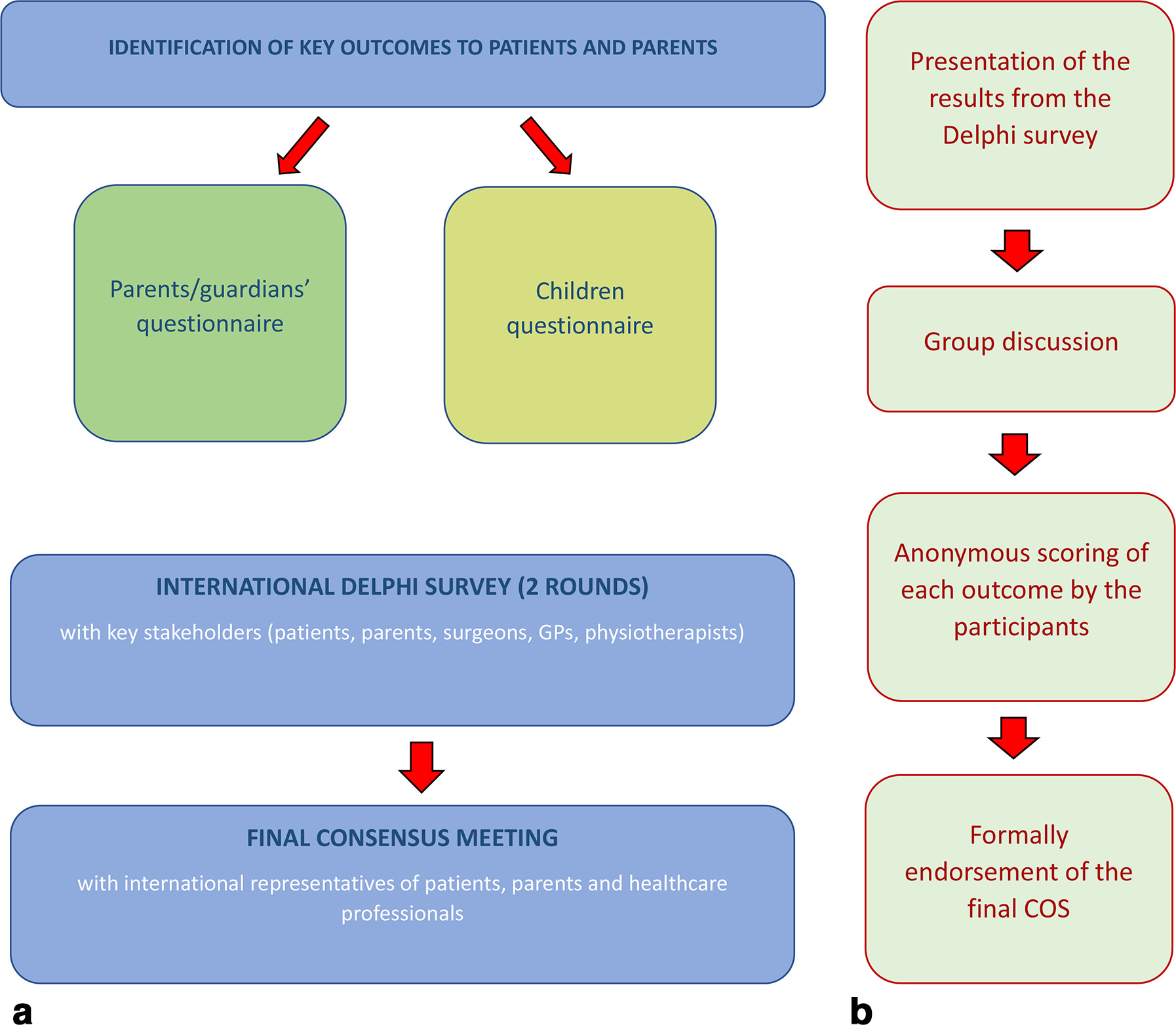 Fig. 1 
            a) Core outcomes set (COS) development process. b) Final consensus meeting steps.
          