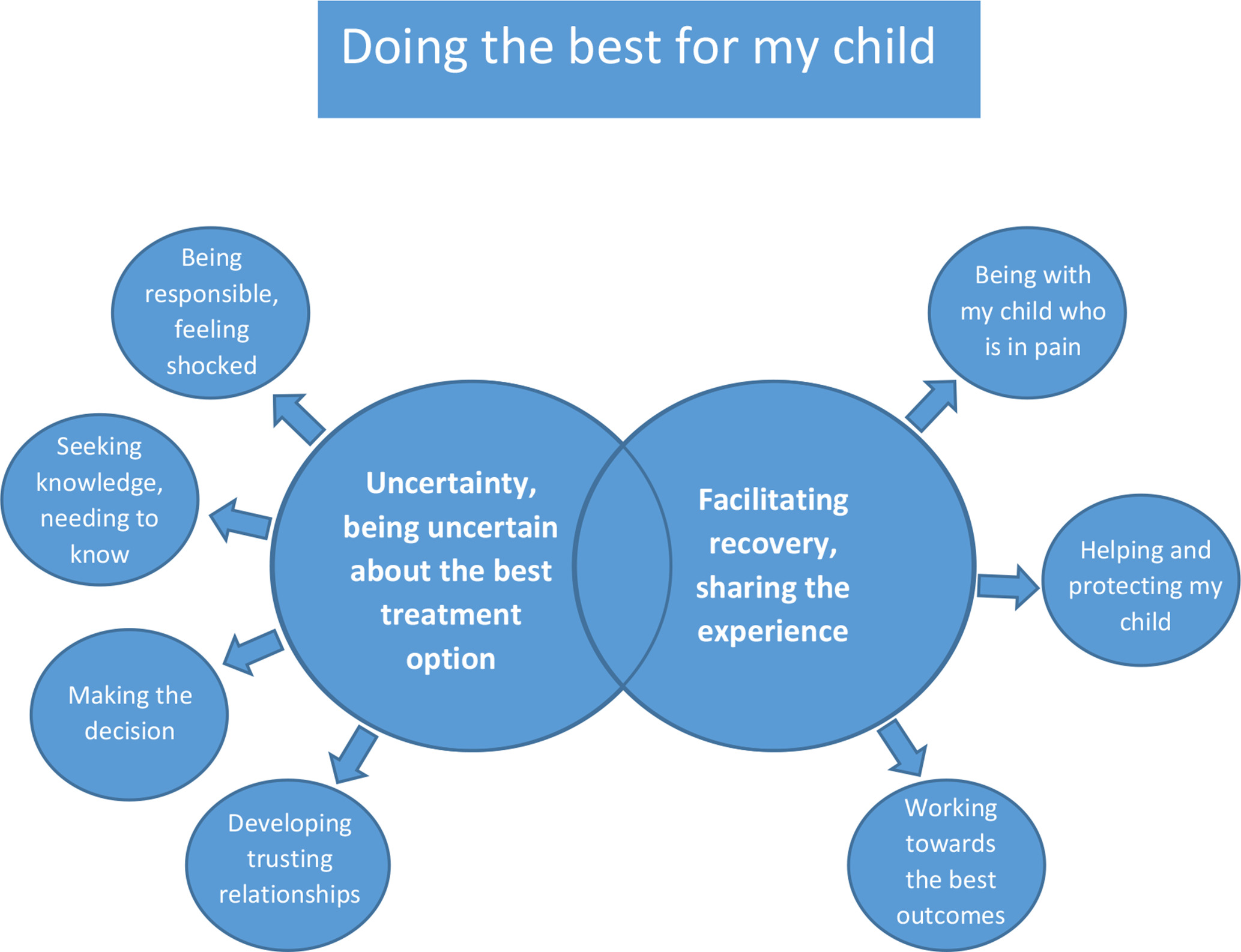 Fig. 1 
          Presents the themes and categories for 'doing the best for my child'.
        