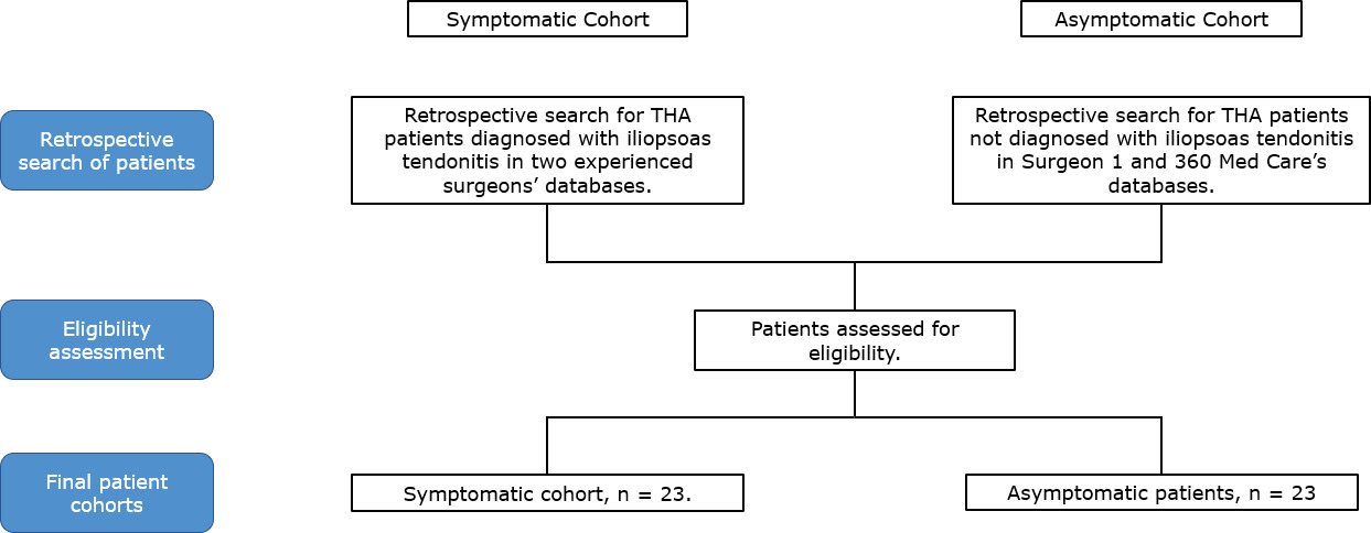 Fig. 1 
            Flowchart of the patient selection process for the symptomatic cohort, which includes patients who were diagnosed with iliopsoas tendonitis, and asymptomatic cohort, which includes patients who were not diagnosed with iliopsoas tendonitis. THA, total hip arthroplasty.
          