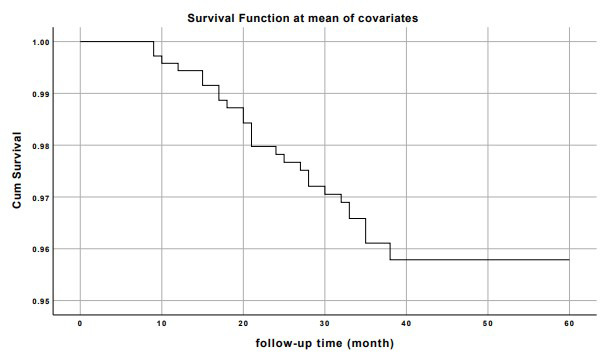Fig. 2 
          Cumulative survival analysis function shows excellent five-year survival rate.
        