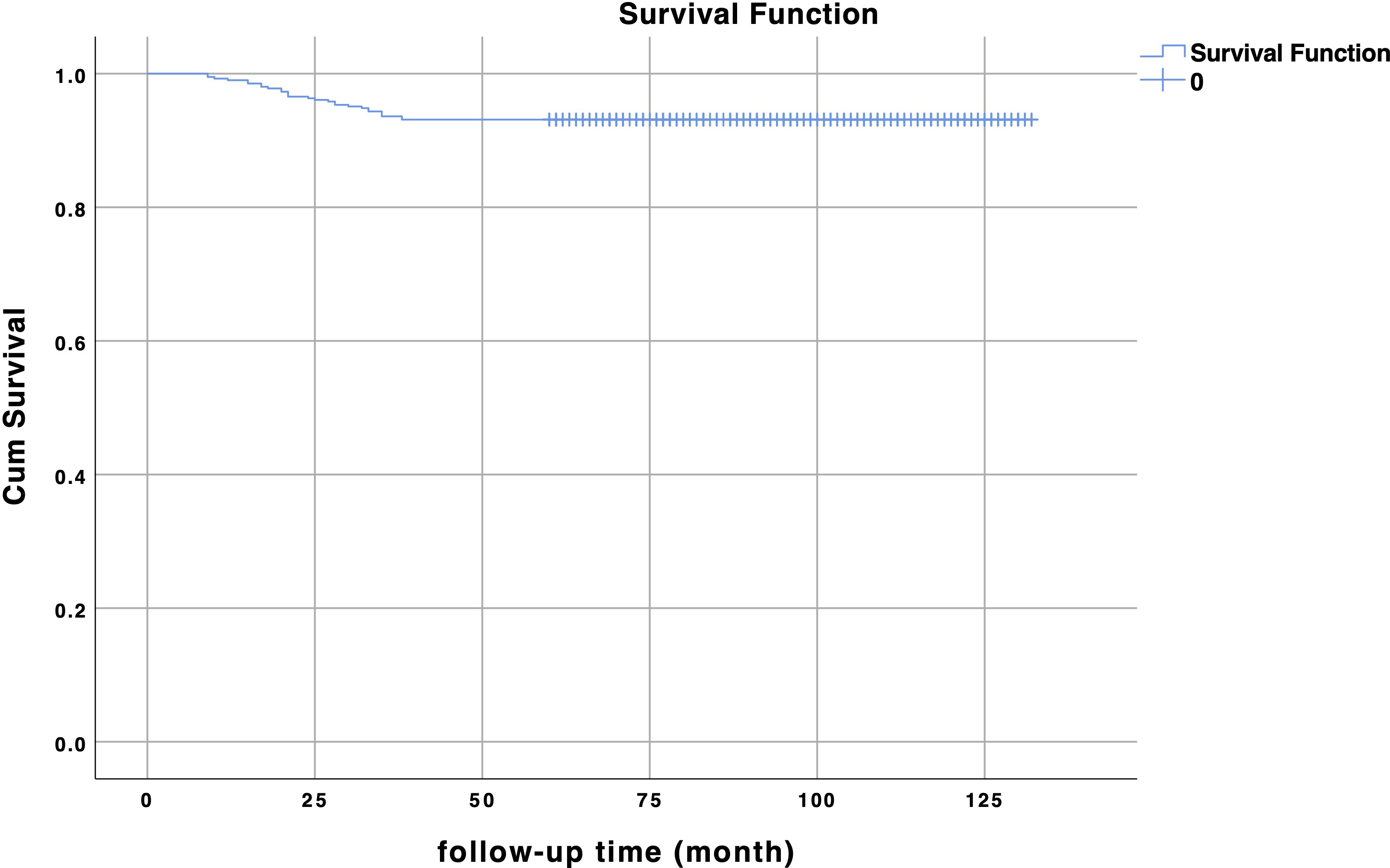 Fig. 4 
          Overall five-year survival rate of 407 cases.
        