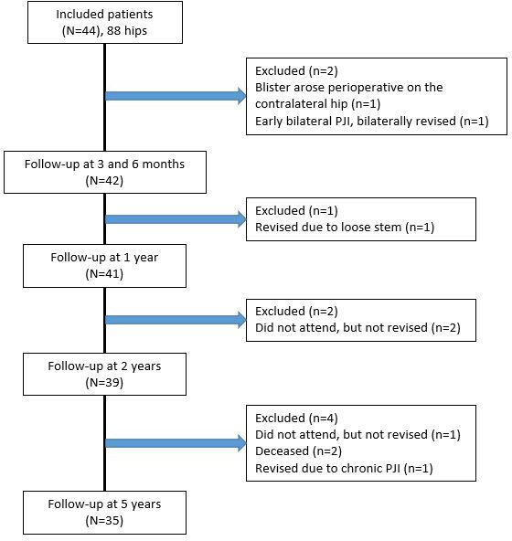 Fig. 1 
            Flowchart of the 44 patients included in the study and the 35 remaining patients after five years. PJI, periprosthetic joint infection.
          